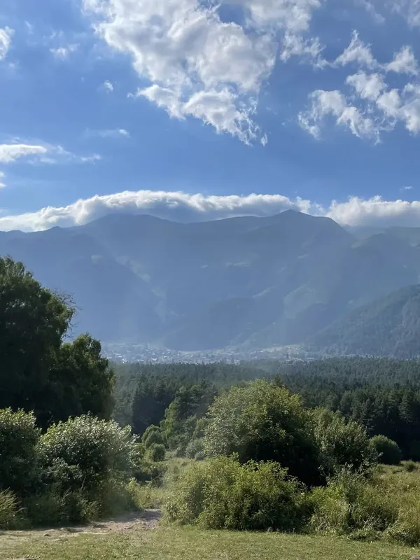 Луговая поляна на подходе к водопаду